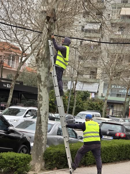 482238411 1171611394319433 444246554531199337 n.jpg?stp=dst jpg s600x600 tt6& nc cat=111&ccb=1 7& nc.jpg