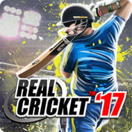 realcricket16ghy.jpg