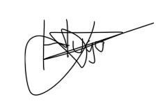 Firma Hugo Photoroom.png