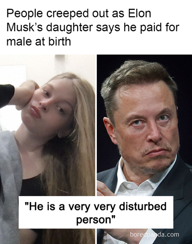 meme img7 (1).png