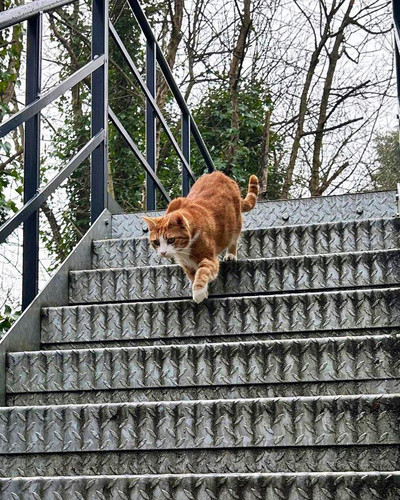 481305991 1074906718009076 6376470904614659266 n.jpg