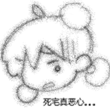IMG 1501.png