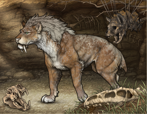 Screenshot 2025 03 12 at 9.10.15 AM.png