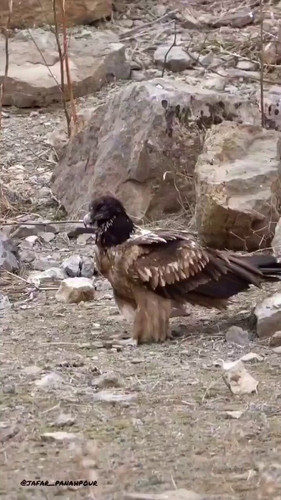 rmQ5Tfloh FWfgC9.jpg