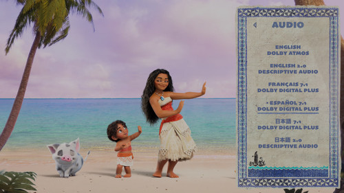 photo 5 2025 03 12 01 08 05.jpg