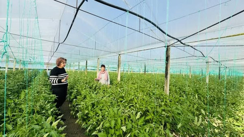 480184832 1188178079978814 6313896941762540986 n.jpg?stp=cp6 dst jpg s600x600 tt6& nc cat=106&ccb=1 .jpg