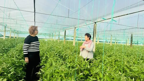 479667195 1188178713312084 8452324525574529522 n.jpg?stp=cp6 dst jpg s600x600 tt6& nc cat=104&ccb=1 .jpg