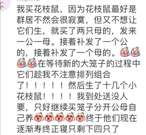 IMG 20250312 220831.jpg