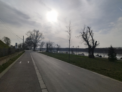 IMG 20250312 161305.jpg