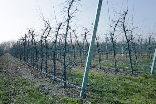 480967736 1046320914195426 7792561595501110521 n.jpg?stp=dst jpg p526x395 tt6& nc cat=100&ccb=1 7& n.jpg