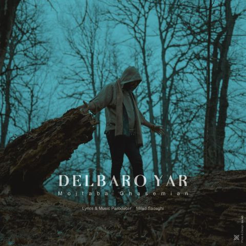 دانلود آهنگ مجتبی قاسمیان به نام دلبرو یار