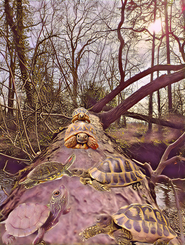 679D511C 5E49 40D9 A4F2 4FD2BFCB33AB.jpg