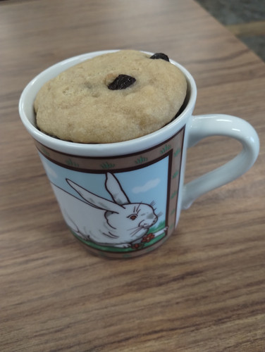 IMG 20250311 080937222.jpg