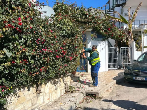 483421764 1212512557545612 6447228168175689048 n.jpg?stp=dst jpg s600x600 tt6& nc cat=108&ccb=1 7& n.jpg