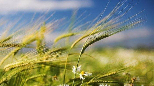 483957154 1073697988119813 5495447301582683116 n.jpg? nc cat=104&ccb=1 7& nc sid=833d8c& nc ohc=noiQ.jpg