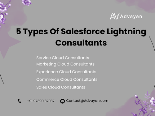 5 types of Salesforce Lightning Consultants.png