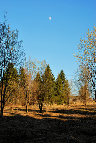 DSC 0038 1.jpg