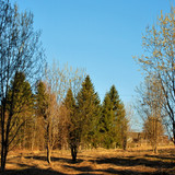 DSC 0038 1