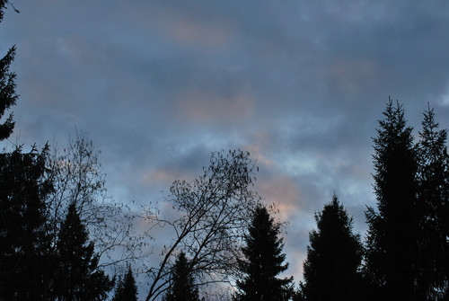 DSC 0012 1.jpg