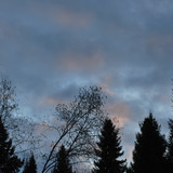DSC 0012 1