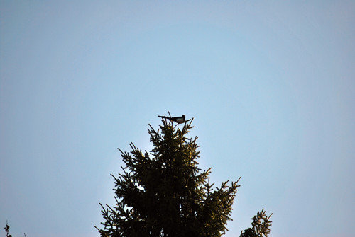 DSC 0021 1.jpg