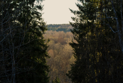DSC 0028 1.jpg