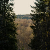 DSC 0028 1