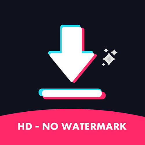 TikTok Downloader
