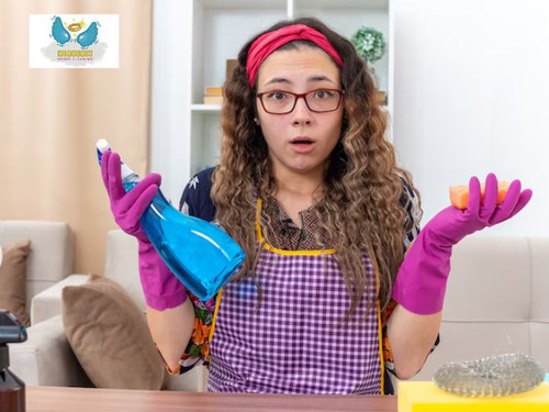 extreme house cleaning services..jpg