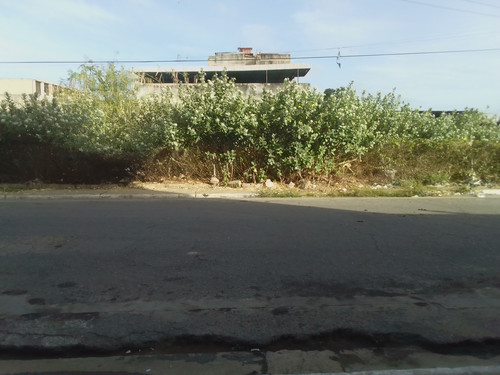 Exif_JPEG_420.jpg