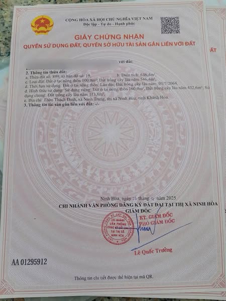 498139453 3139997936165568 8074405638196770529 n.jpg