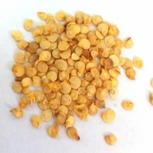 f1 hybrid green chilli seeds 500.jpg