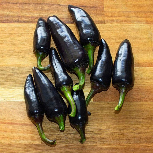 300 high yield black chilli pepp.jpg