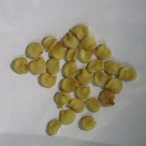 22 d139aa0c fbe2 4cae a655 14c90.jpg