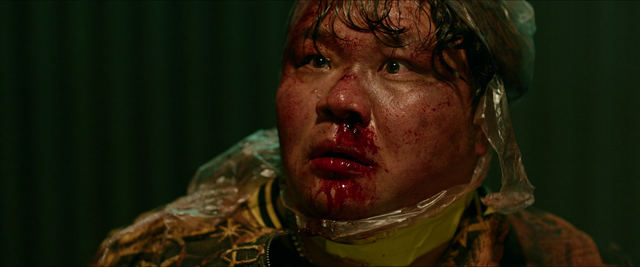 Vlcsnap-2025-05-16-08h33m46s206