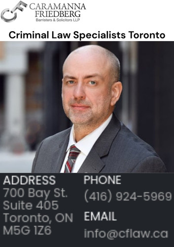 Criminal Law Specialists Toronto.jpg
