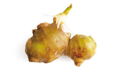 cugung2535.jpg