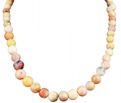 bg.1 PhotoRoom.png PhotoRoom.jpg