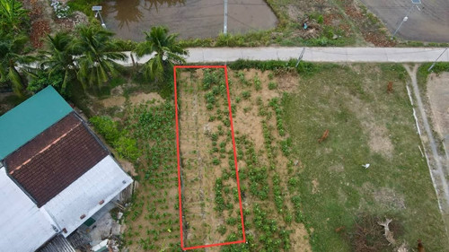 497731672 122129387450763886 5919747088553829380 n.jpg