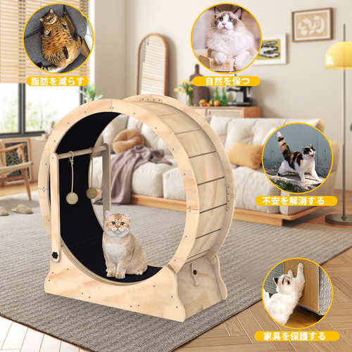 猫滚轮2.png