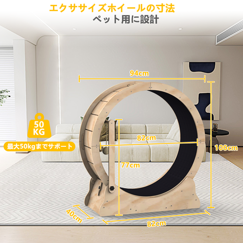 猫滚轮5.png