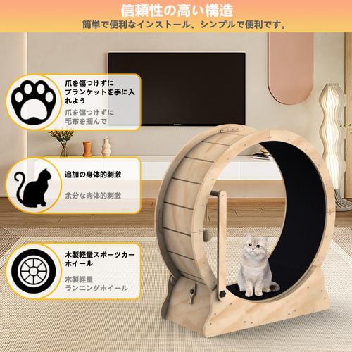 猫滚轮6.png