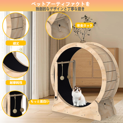 猫滚轮4.png