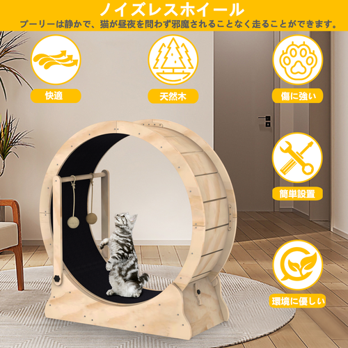 猫滚轮3.png