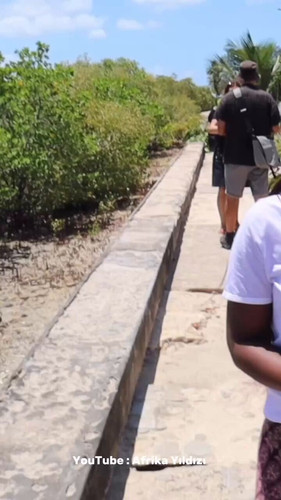 ALd 8OahrZlKmVBs.jpg