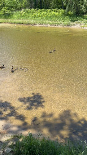 CKuv fclJurHPg8x.jpg