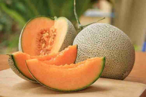 32 1muskmelon seeds for planting.jpg