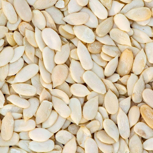 MuskmelonSeeds.jpg