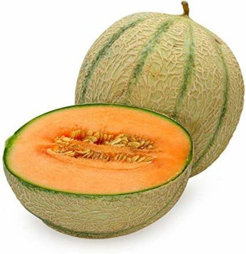 40 kharbuja muskmelon hybrid fru.jpg
