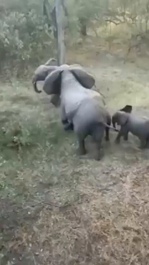 jn2PA2JDTk2 Qm1r.jpg